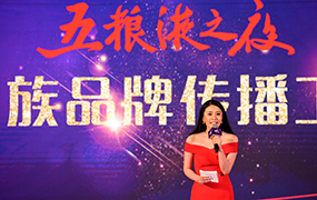 五糧液之夜——新華社民族品牌工程交流會現場