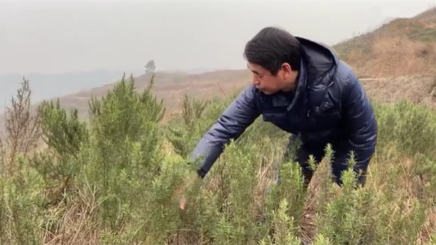 新春走基層｜脫貧后，駐村扶貧隊長在干啥？
