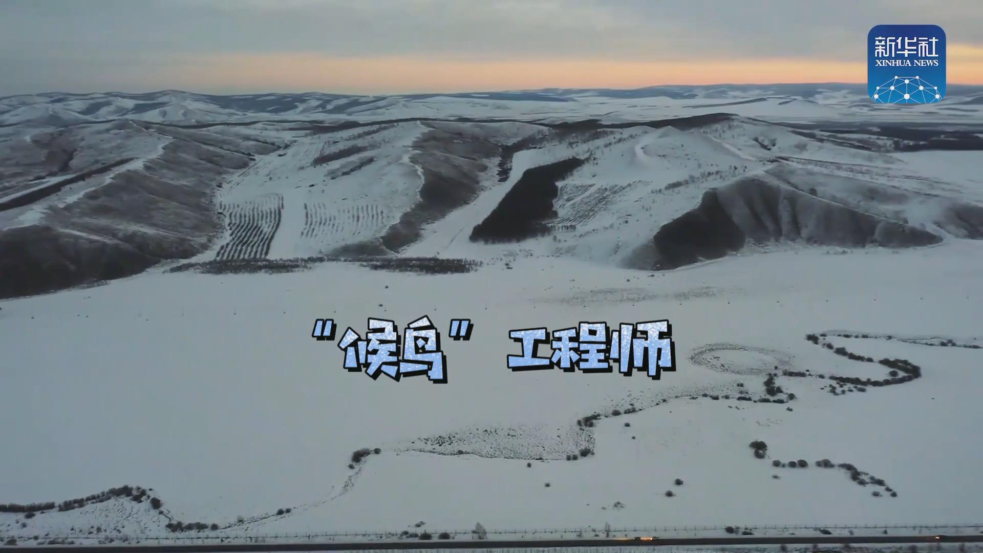 我們在奔跑丨一路向北！他是逆行的“候鳥”
