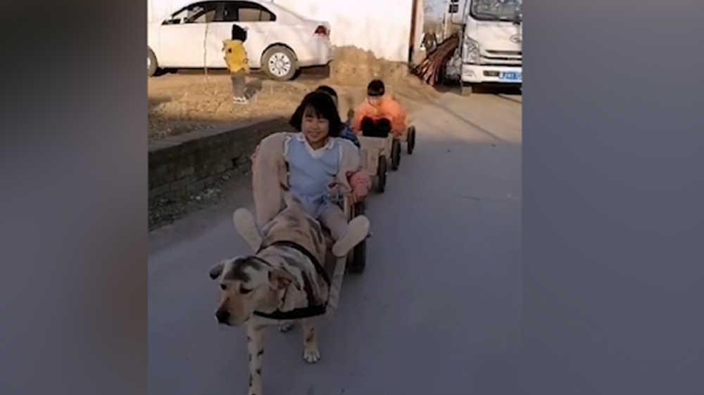 男子給孩子做縮小版小火車，家里的狗狗做動力拉著孩子上學