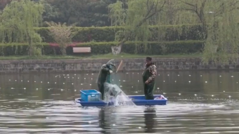 別人家的學校！安師大請師生吃一萬斤魚