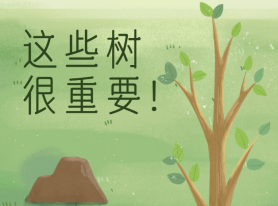 這些樹很重要！