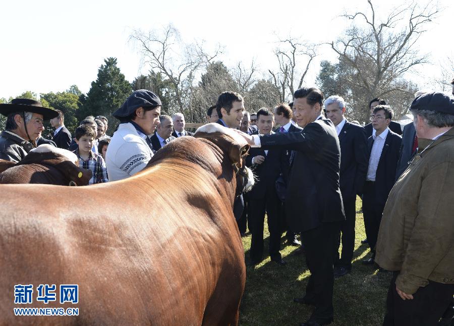 當地時間7月19日，正在對阿根廷進行國事訪問的國家主席習近平參觀共和國莊園，考察阿根廷農牧業，了解阿根廷農牧民文化特色。新華社記者馬占成攝 